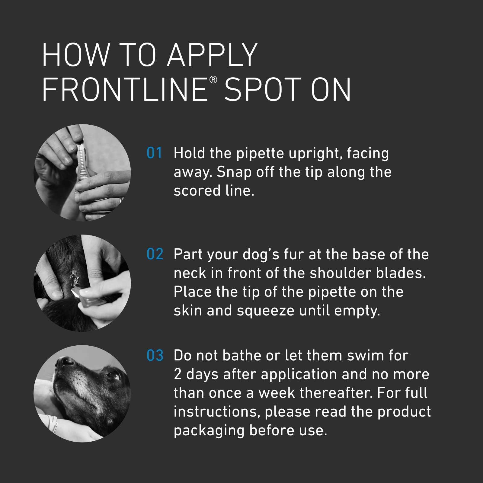 FRONTLINE Spot On Flea & Tick Treatment for Large Dogs 20.01–40kg – 6 Pack - Image 5