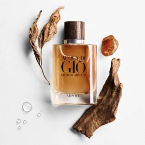 Giorgio Armani Acqua di Giò Absolu EDP 100ml