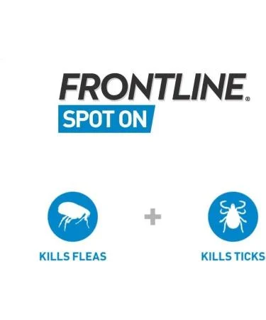 FRONTLINE Spot On Flea & Tick Treatment for Medium Dogs 10–20kg – 6 Pipettes - Image 4
