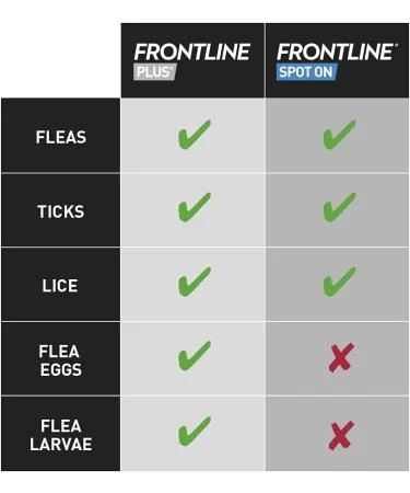 FRONTLINE Spot On Flea & Tick Treatment for Medium Dogs 10–20kg – 6 Pipettes - Image 5