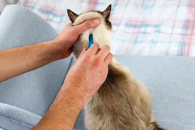 FRONTLINE Spot On Flea & Tick Treatment for Cats – 6 Pipettes & Large Dogs 20–40kg – 3 Pipettes - Image 2