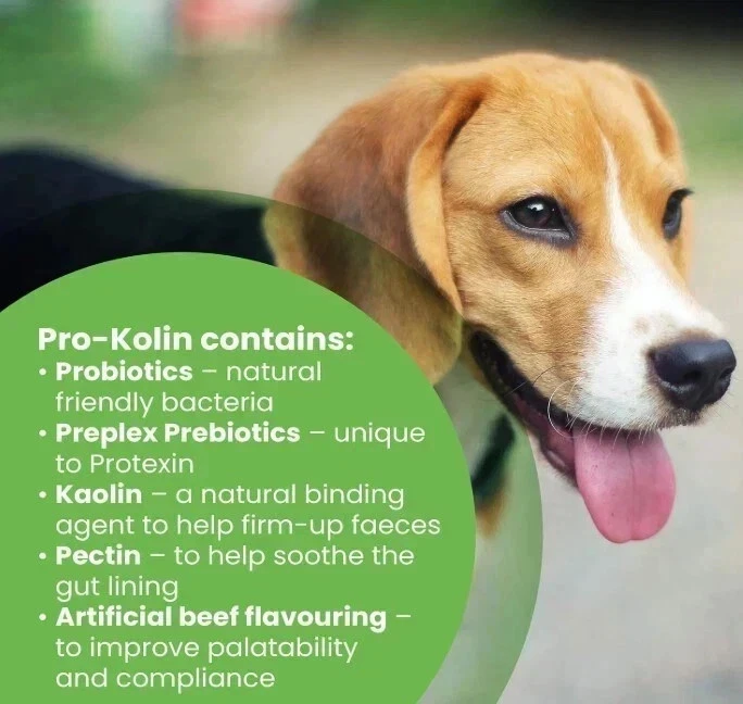Protexin Pro-Kolin Plus Oral Paste for Dogs & Cats – 60ml Syringe - Image 2