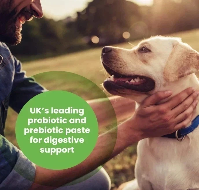 Protexin Pro-Kolin Plus Oral Paste for Dogs & Cats – 60ml Syringe - Image 3