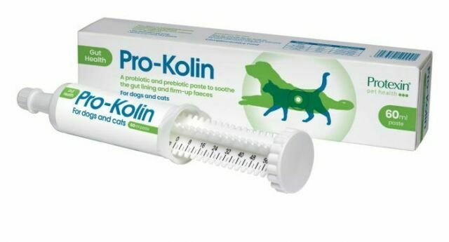 Protexin Pro-Kolin Plus Oral Paste for Dogs & Cats – 60ml Syringe