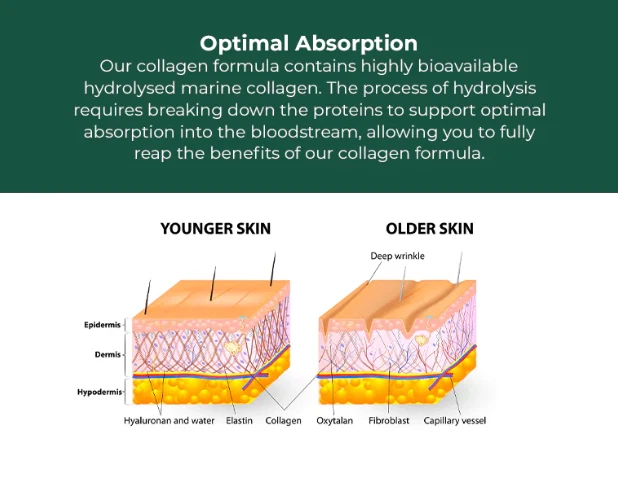 HEY NUTRITION Collagen Complex – Hyaluronic Acid & Sea Kelp - Image 6